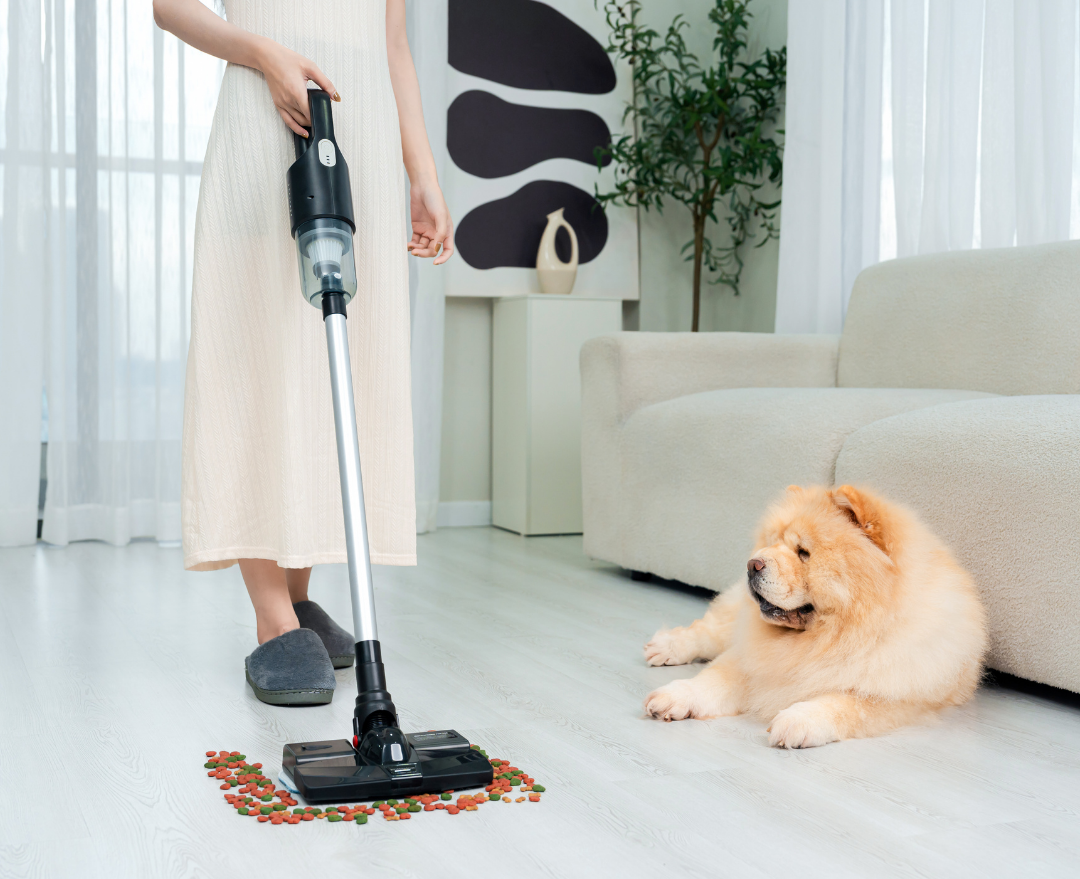 Trong thế giới bận rộn ngày nay, việc sở hữu một chiếc máy hút bụi cầm tay thực sự là một lựa chọn thông minh. Tuy nhiên, trước sự đa dạng trên thị trường máy hút bụi với nhiều loại khác nhau, việc tìm ra sản phẩm phù hợp không phải lúc nào cũng dễ dàng. Vì vậy, trong bài viết này, chúng ta sẽ cùng tìm hiểu để chọn lựa một chiếc máy hút bụi cầm tay hoàn hảo cho nhu cầu của mình.