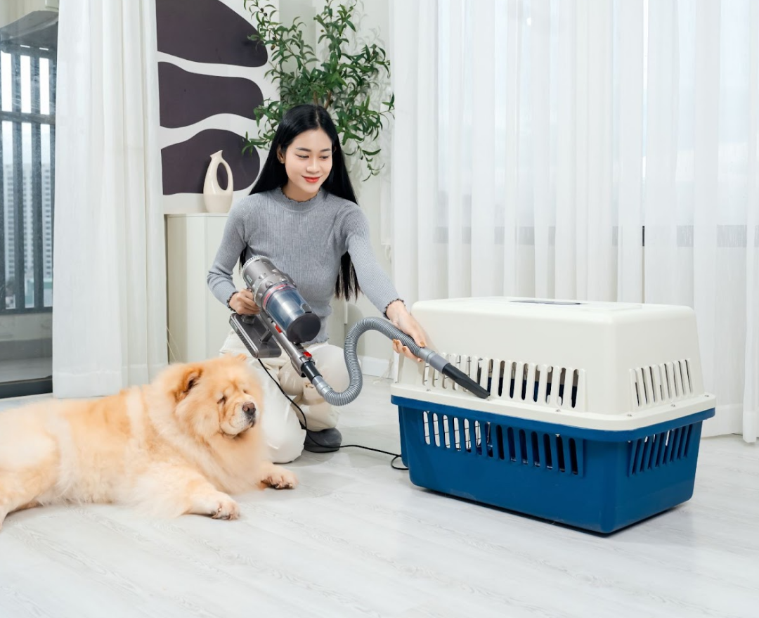 Trong thế giới bận rộn ngày nay, việc sở hữu một chiếc máy hút bụi cầm tay thực sự là một lựa chọn thông minh. Tuy nhiên, trước sự đa dạng trên thị trường máy hút bụi với nhiều loại khác nhau, việc tìm ra sản phẩm phù hợp không phải lúc nào cũng dễ dàng. Vì vậy, trong bài viết này, chúng ta sẽ cùng tìm hiểu để chọn lựa một chiếc máy hút bụi cầm tay hoàn hảo cho nhu cầu của mình.