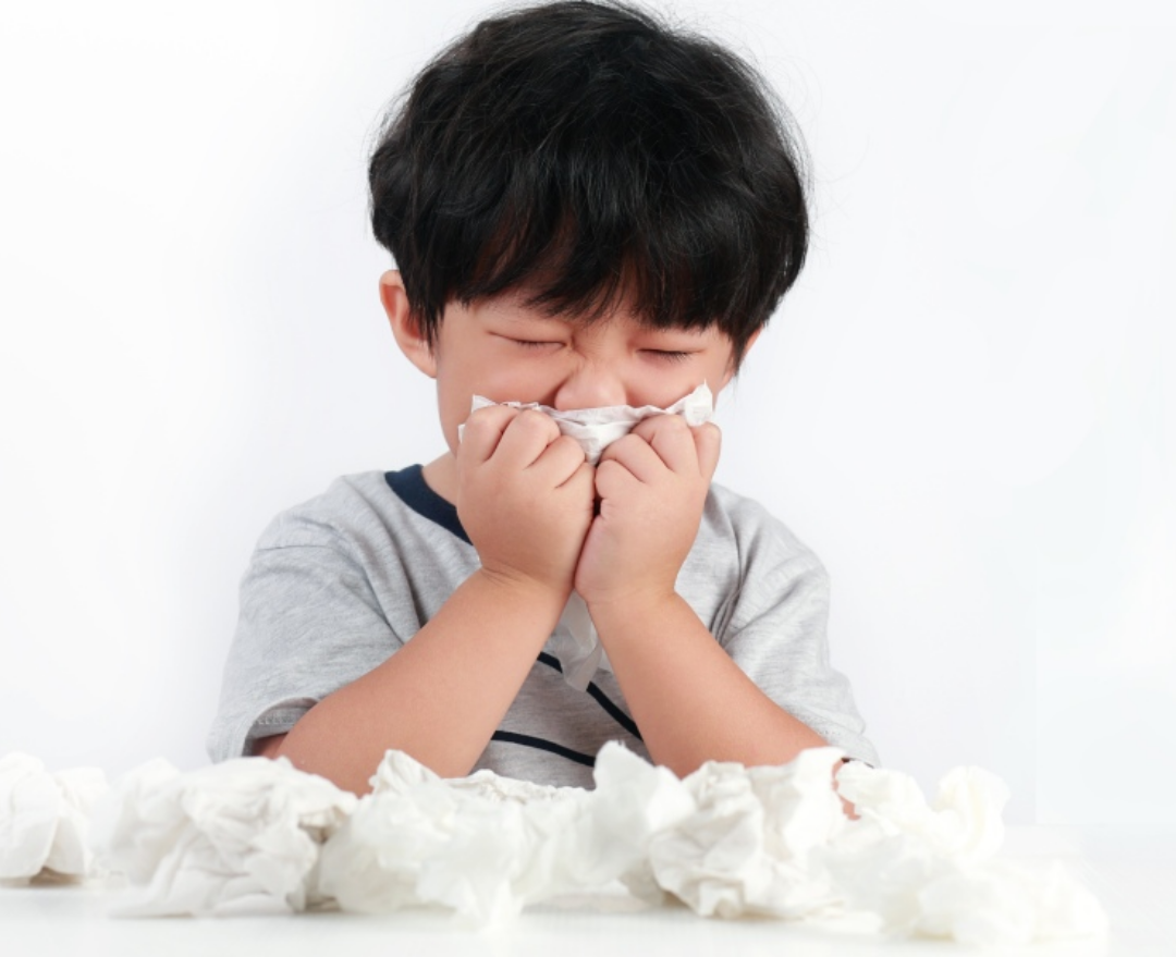 Trong thế giới bận rộn ngày nay, việc sở hữu một chiếc máy hút bụi cầm tay thực sự là một lựa chọn thông minh. Tuy nhiên, trước sự đa dạng trên thị trường máy hút bụi với nhiều loại khác nhau, việc tìm ra sản phẩm phù hợp không phải lúc nào cũng dễ dàng. Vì vậy, trong bài viết này, chúng ta sẽ cùng tìm hiểu để chọn lựa một chiếc máy hút bụi cầm tay hoàn hảo cho nhu cầu của mình.