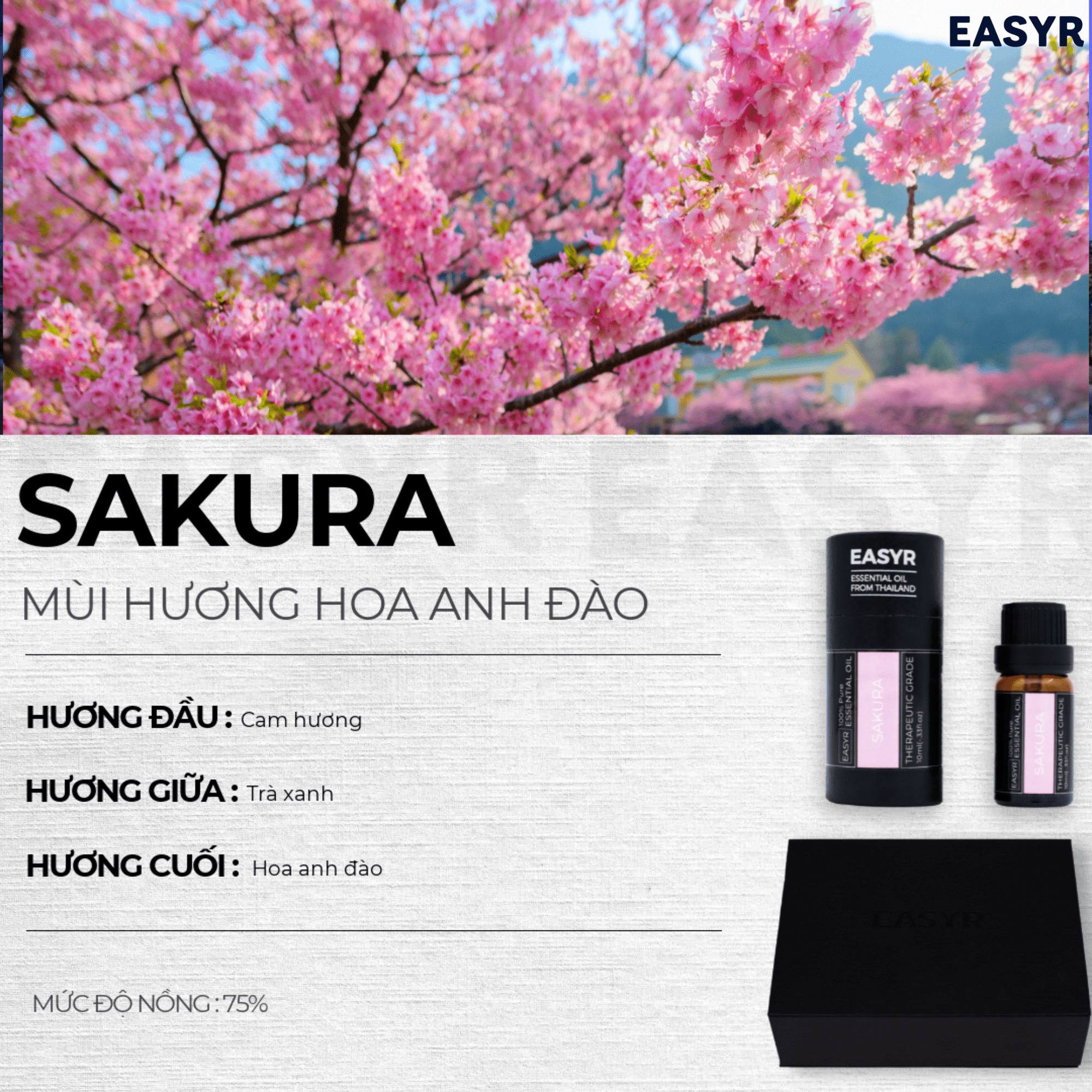 Tinh Dầu Khách Sạn 5 Sao EASYR - EASYR