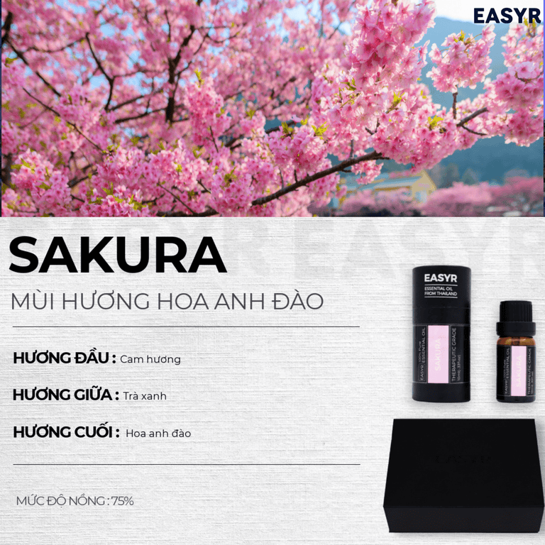 Tinh Dầu Khách Sạn 5 Sao EASYR - EASYR